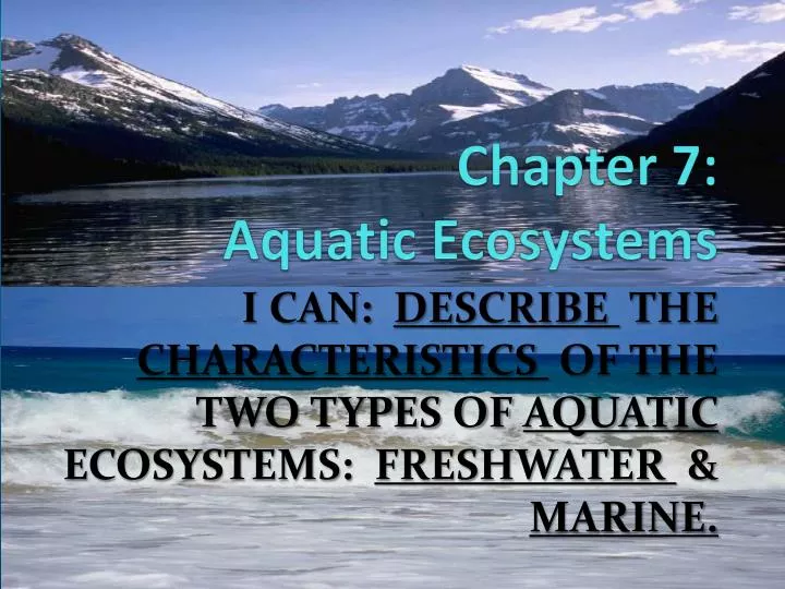 chapter 7 aquatic ecosystems