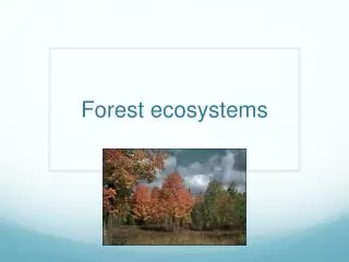 Forest ecosystems