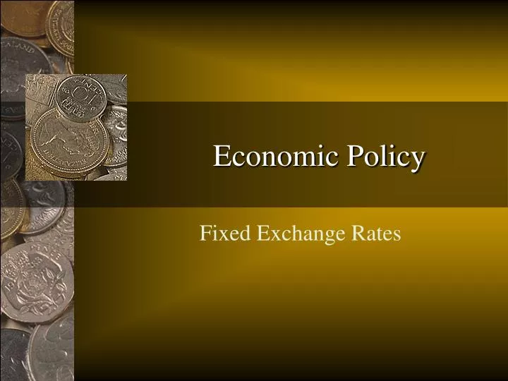 economic policy