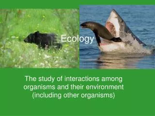 Ecology