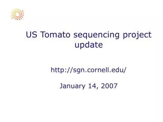 US Tomato sequencing project update http://sgn.cornell.edu/ January 14, 2007