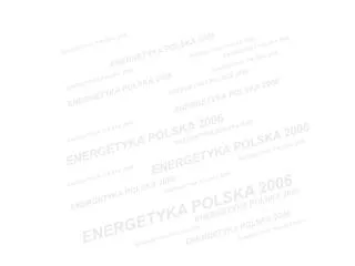 ENERGETYKA POLSKA 2006