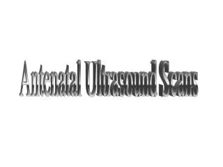 Antenatal Ultrasound Scans