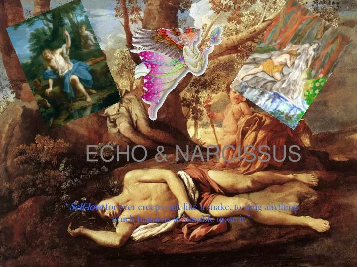 echo narcissus