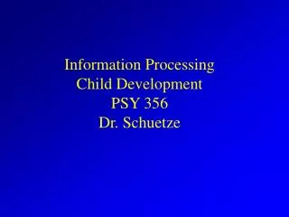 Information Processing Child Development PSY 356 Dr. Schuetze