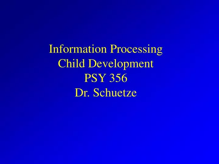 information processing child development psy 356 dr schuetze