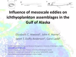 Influence of mesoscale eddies on ichthyoplankton assemblages in the Gulf of Alaska