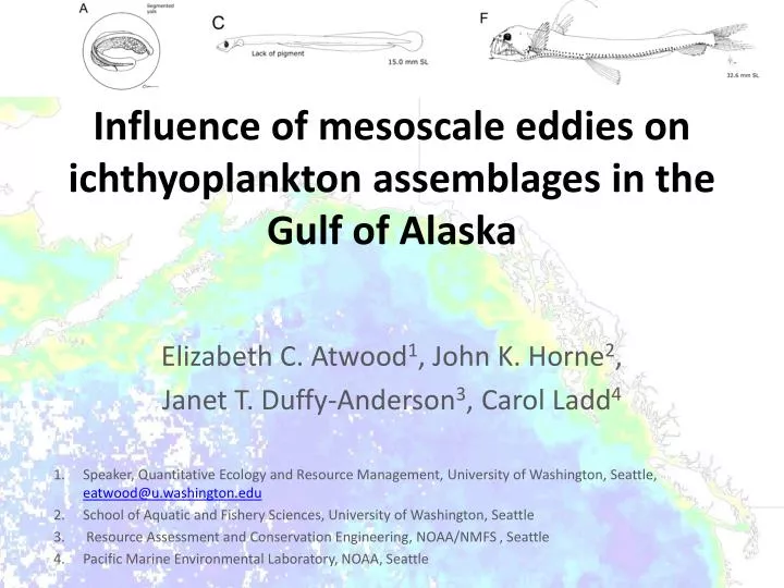 influence of mesoscale eddies on ichthyoplankton assemblages in the gulf of alaska