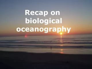 Recap on biological oceanography