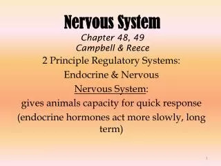 Nervous System Chapter 48, 49 Campbell &amp; Reece
