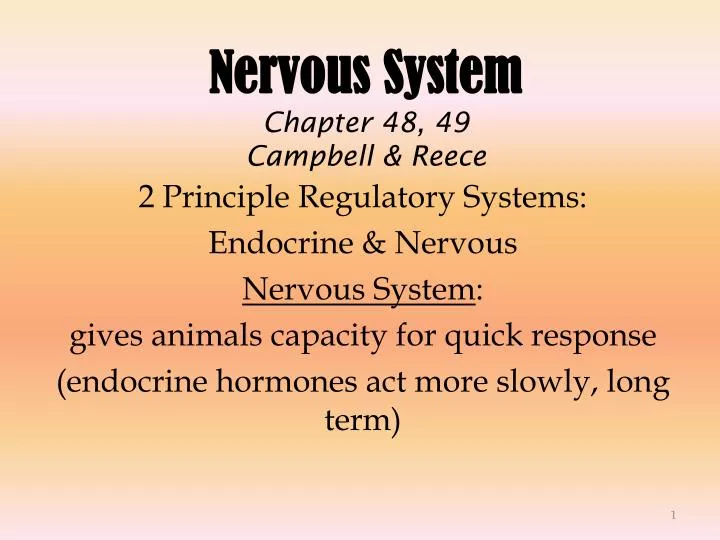 nervous system chapter 48 49 campbell reece