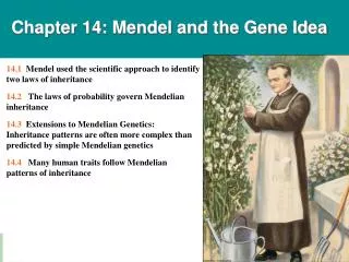 Chapter 14: Mendel and the Gene Idea