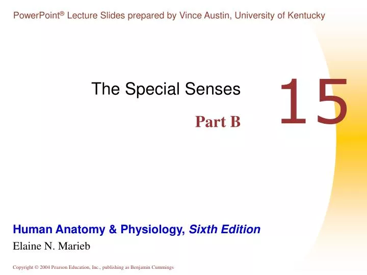 the special senses part b