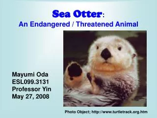 Sea Otter : An Endangered / Threatened Animal