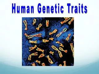 Human Genetic Traits