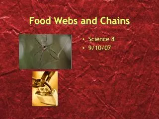 PPT - Food Webs and Chains PowerPoint Presentation, free download - ID ...