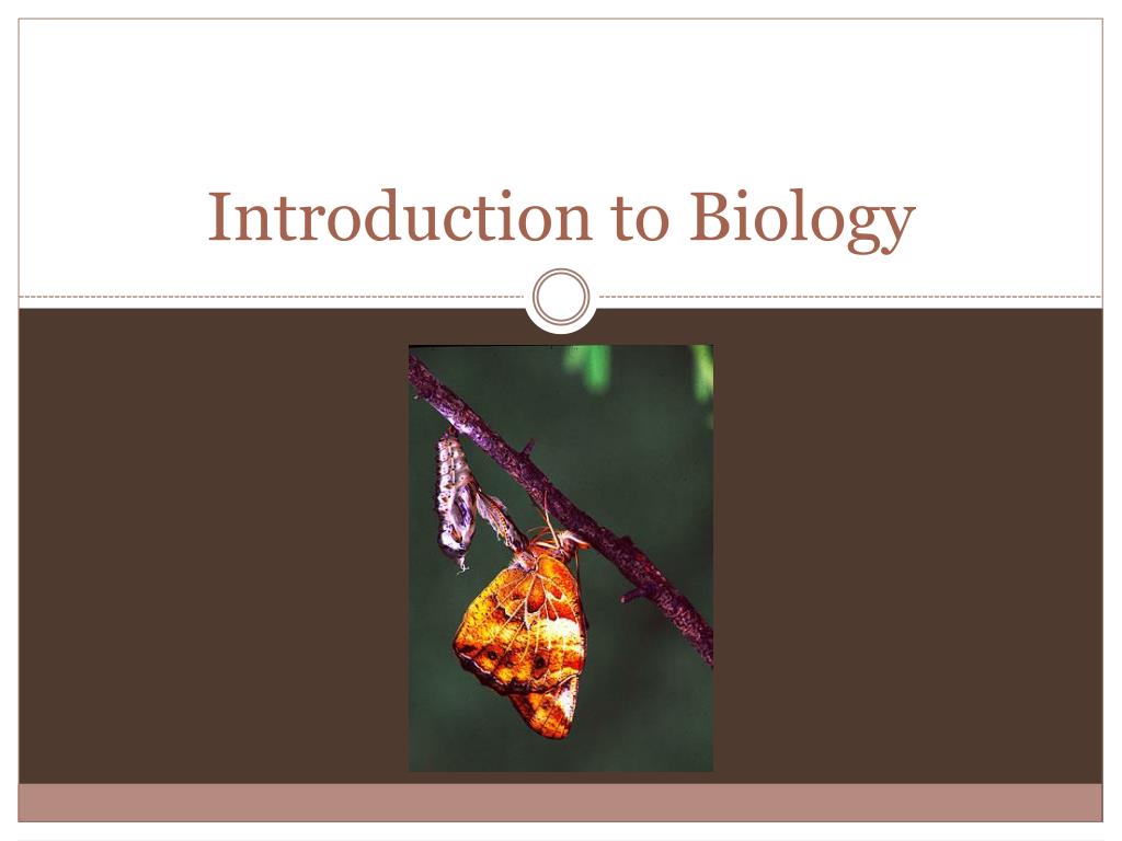 PPT - Introduction to Biology PowerPoint Presentation, free download ...