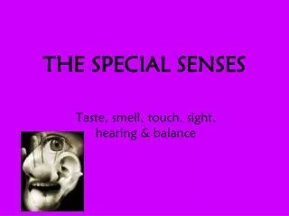 THE SPECIAL SENSES