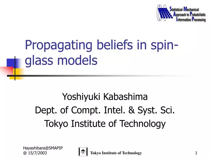 propagating beliefs in spin glass models
