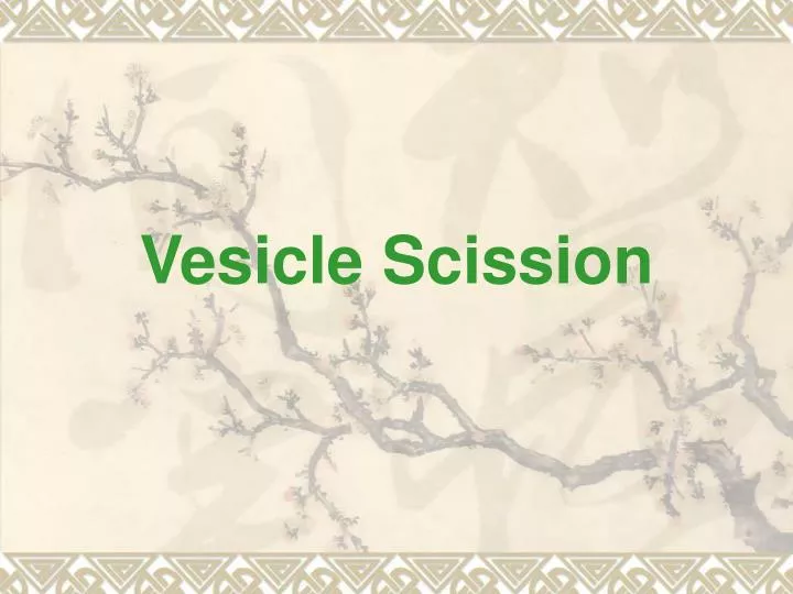 vesicle scission