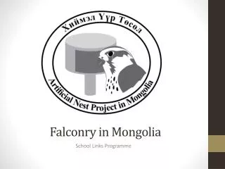 Falconry in Mongolia