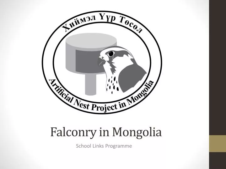 falconry in mongolia