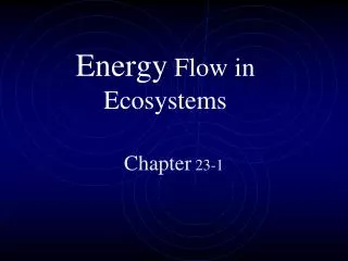 energy flow in ecosystems