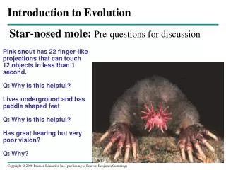 Star-nosed mole: Pre-questions for discussion