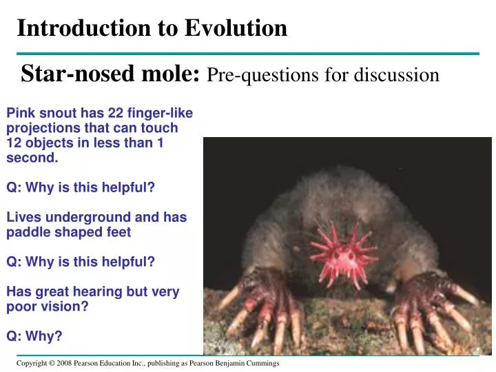 star nosed mole pre questions for discussion