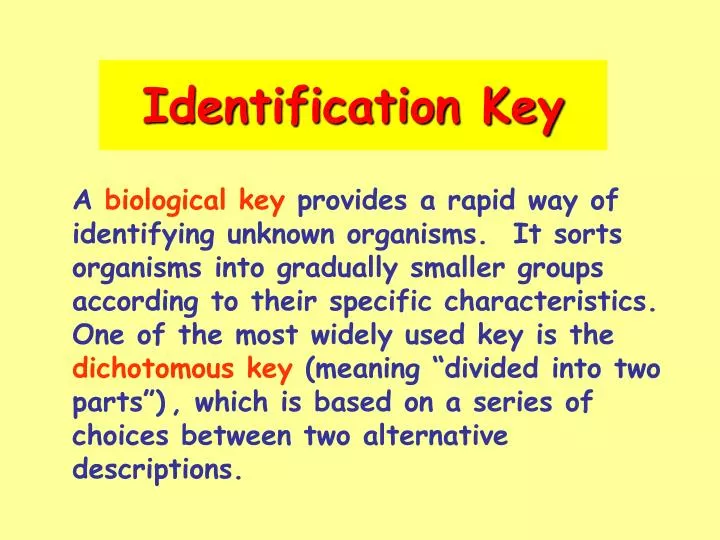 identification key