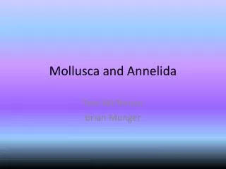 Mollusca and Annelida