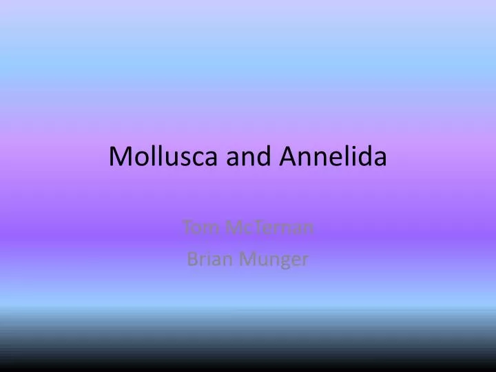 mollusca and annelida