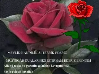 MEVLİD KANDİLİNİZİ TEBRİK EDERİZ