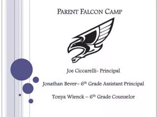 Parent Falcon Camp