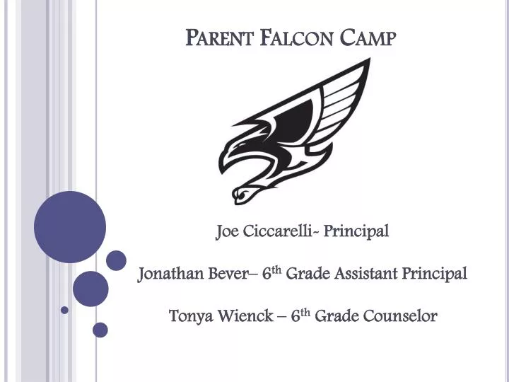 parent falcon camp