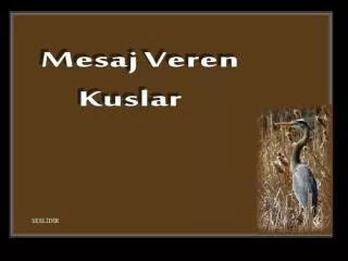 Mesaj Veren Kuşlar