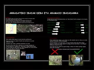 ARRASATEKO IBAIAK:DEBA ETA ARAMAIO IBAIADARRA