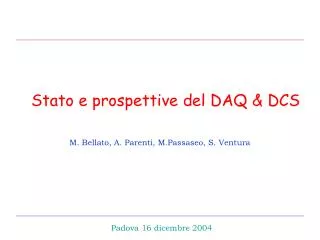 Stato e prospettive del DAQ &amp; DCS 