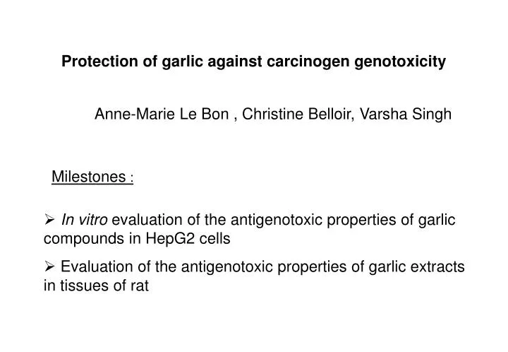 protection of garlic against carcinogen genotoxicity