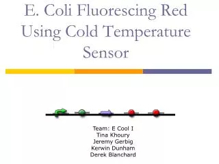 E. Coli Fluorescing Red Using Cold Temperature Sensor