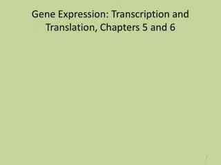 Gene Expression: Transcription and Translation, Chapters 5 and 6