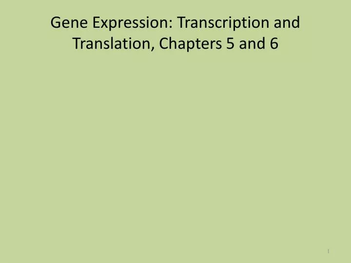 gene expression transcription and translation chapters 5 and 6