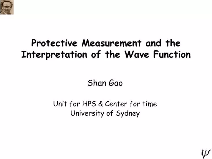 protective measurement and the interpretation of the wave function