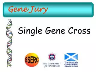 Gene Jury