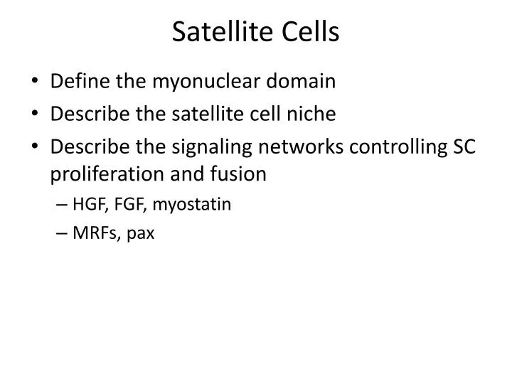 satellite cells