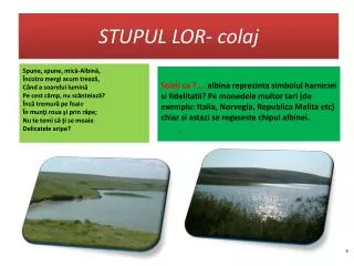 STUPUL LOR- colaj