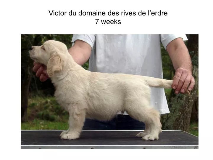 victor du domaine des rives de l erdre 7 weeks