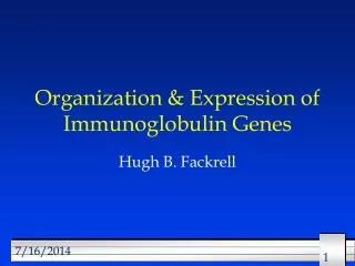 Organization &amp; Expression of Immunoglobulin Genes