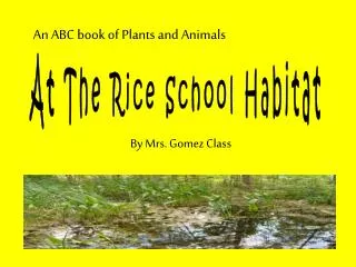 At The Rice School Habitat