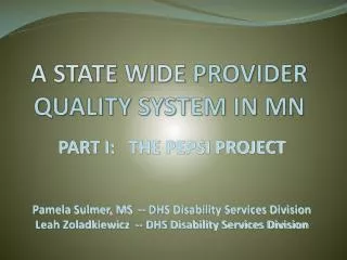 A STATE WIDE PROVIDER QUALITY SYSTEM IN MN